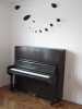 Prodám piano zn. Lutz Komotau - celopancéř, r.v. 1941 po generální opravě + nová klaviatura. Záruka 2 roky.