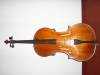 Prodám violoncello 4/4, vhodné pro začátečníky, včetně pouzdra a smyčce