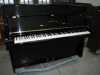 Steinway and Sons bez investic