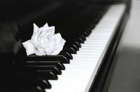 Koupím pianino, klavír, křídlo
